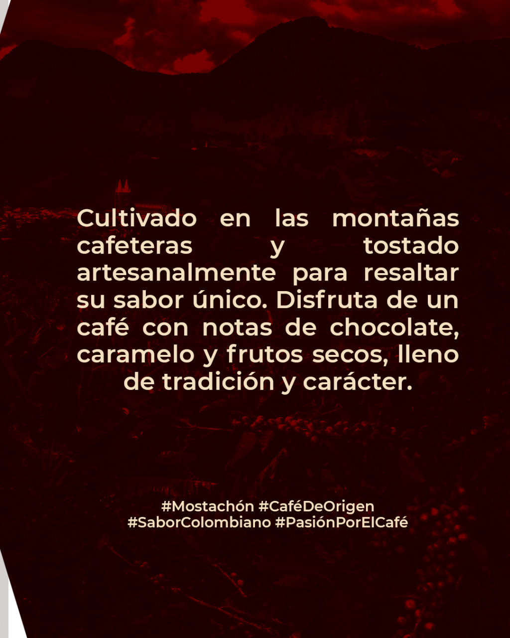 Contenido editorial de origen para redes